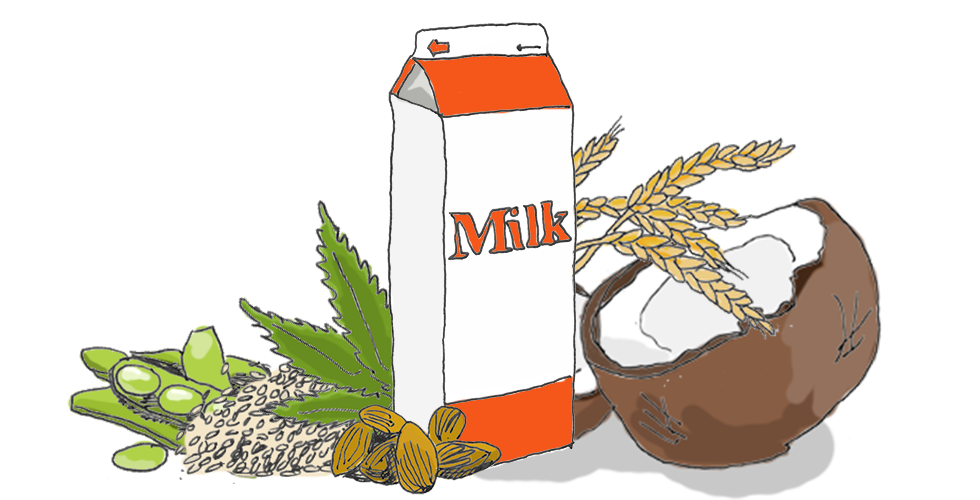 A Complete Guide to Milk Alternatives