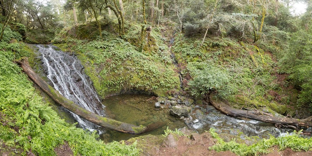 The Seven Best Waterfall Hikes Near San Francisco