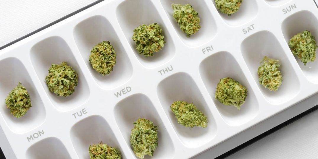 SF Gets Weed of the Month Club Because Of Course