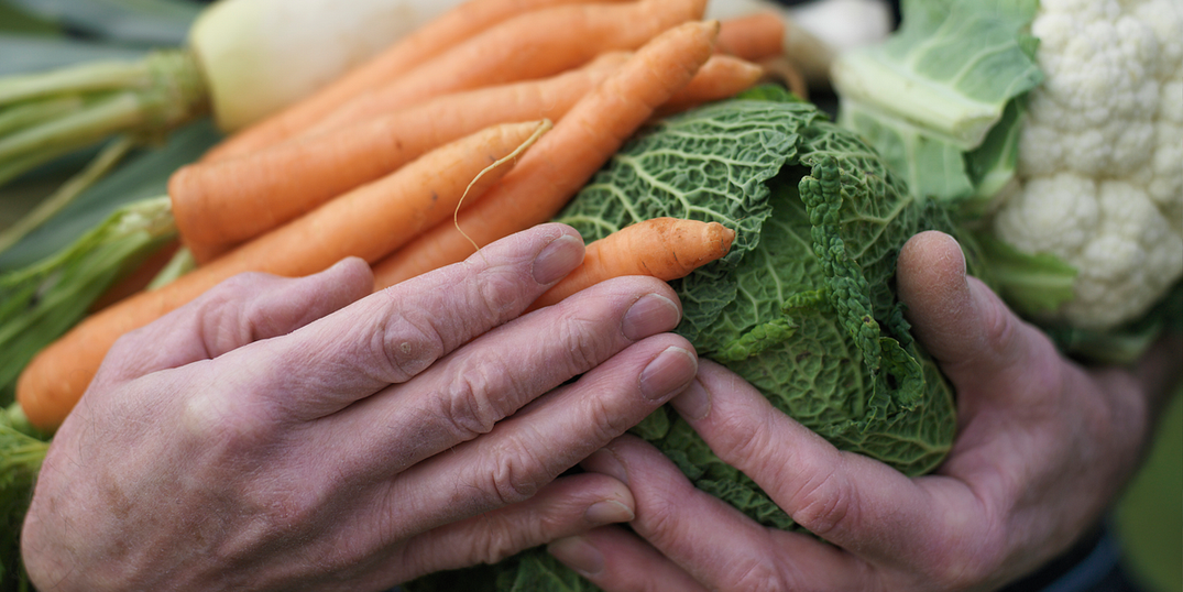 A Startup Trying to Solve the TL Food Problem