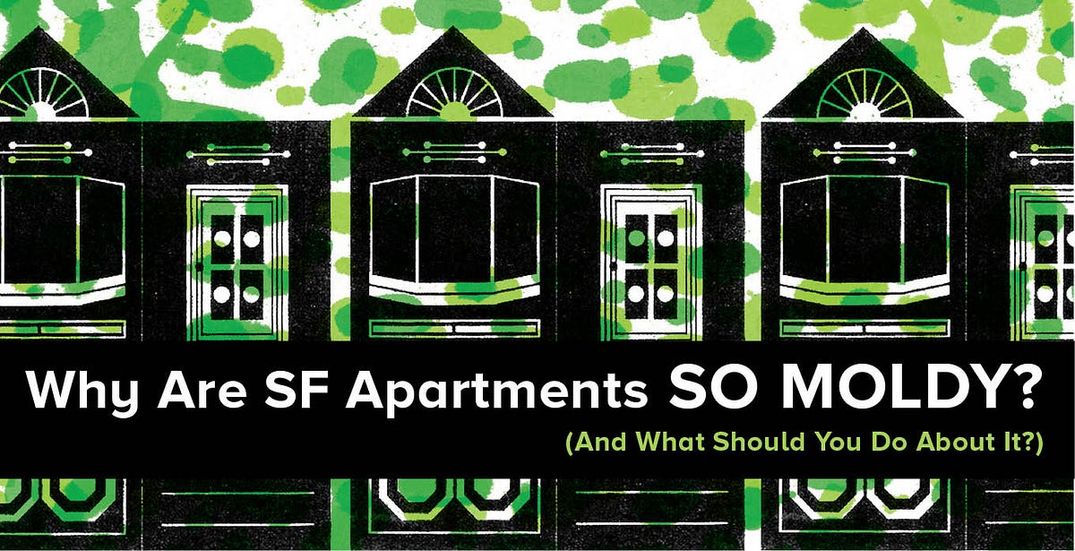 Why Are SF Apartments So Moldy? (And What Should You Do About It?)
