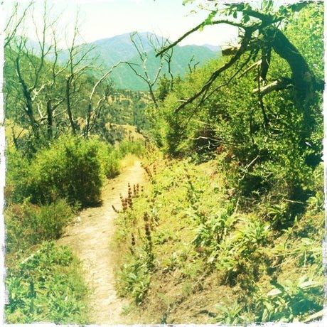Skinny Dipping at the Zen Monastery