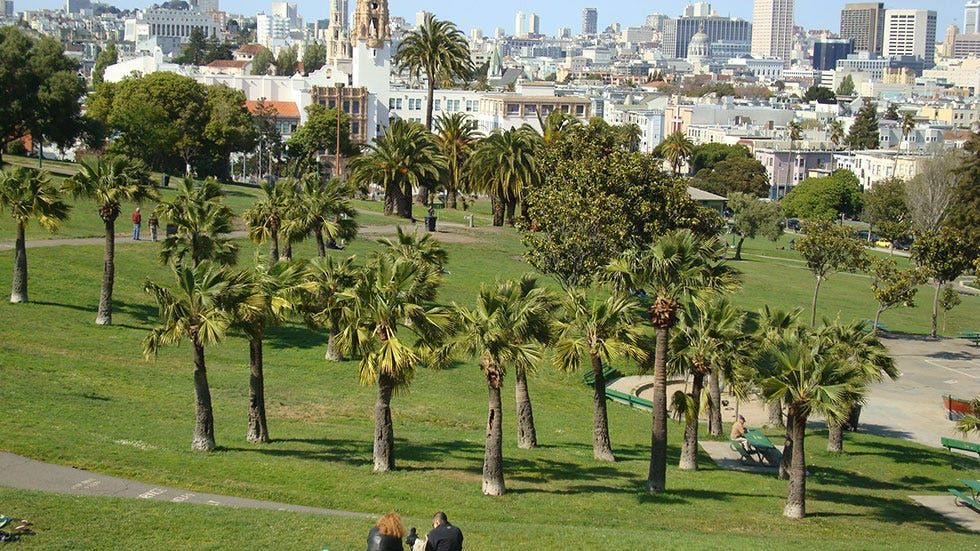 This Incident Proves Dolores Park is Serious About Enforcing Rules