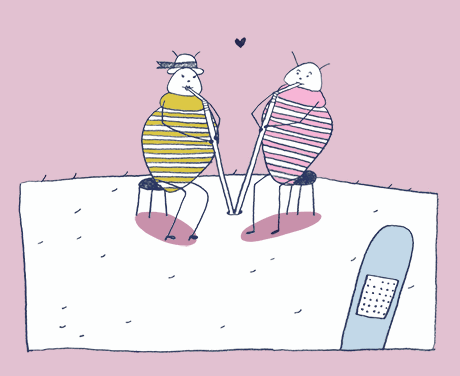 Bedbugs Ruined My Life