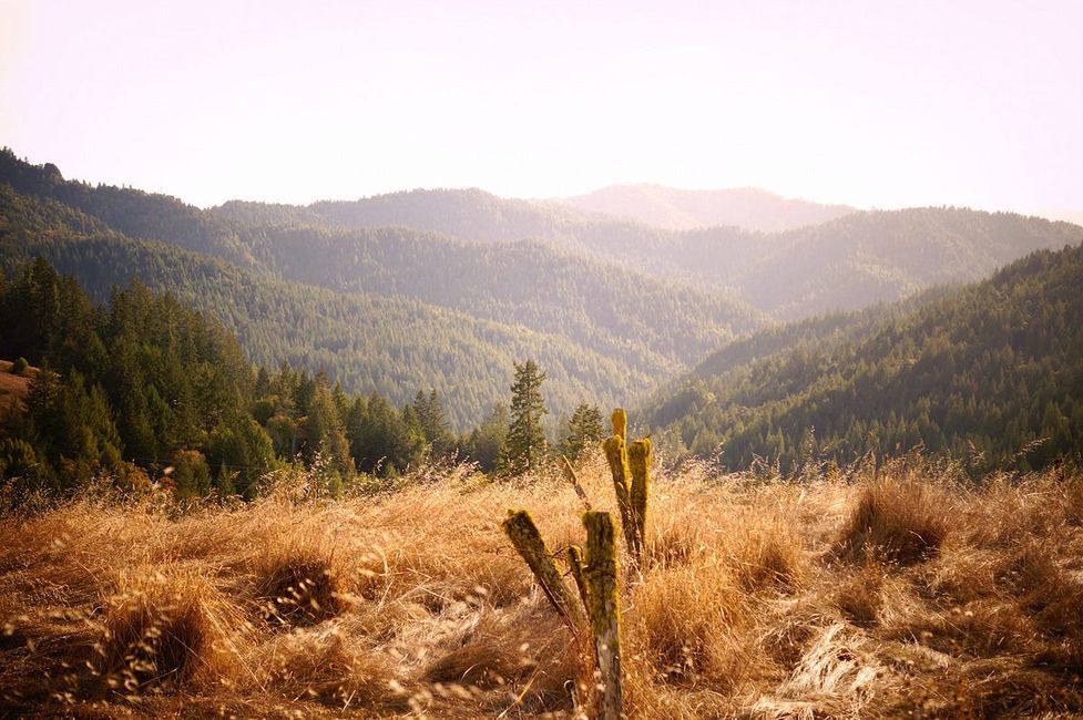 Mendocino County’s Breathtaking Beaches, Forests and Vineyards