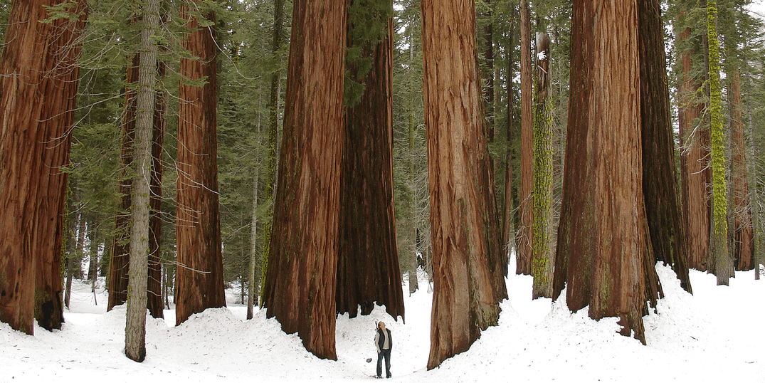 7 Road Trips to Take This Winter