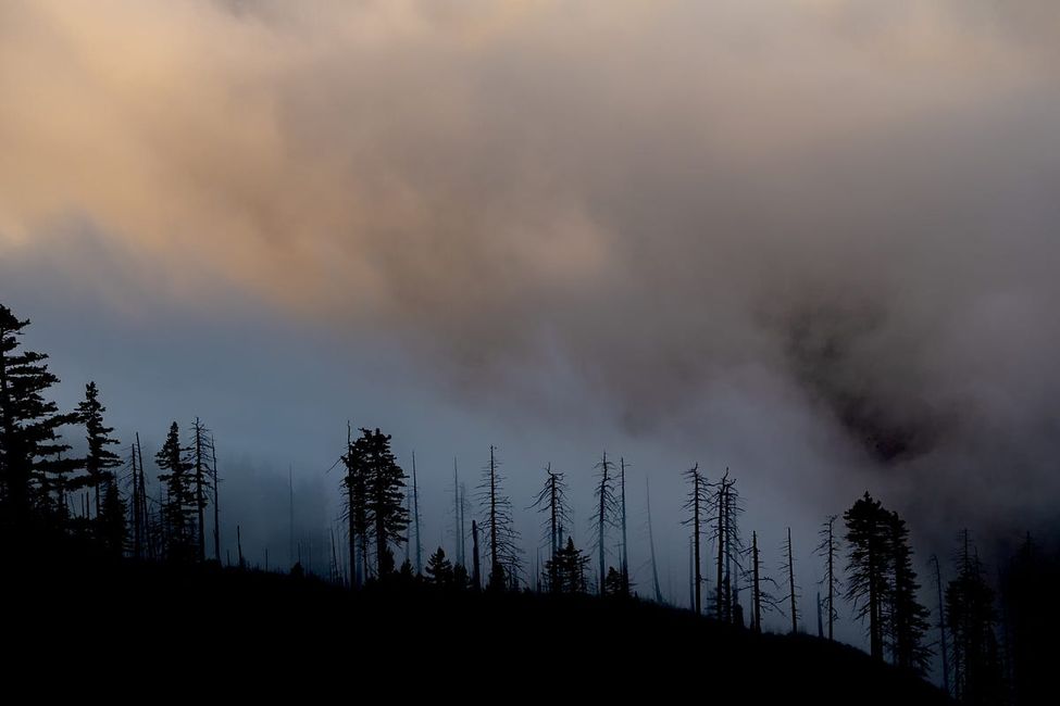 How to Deal With the Bay Area's Wildfire Smoke