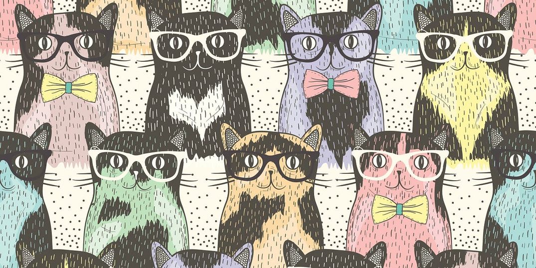 Bring Your Hipster Cat to Dolores Park on Sat