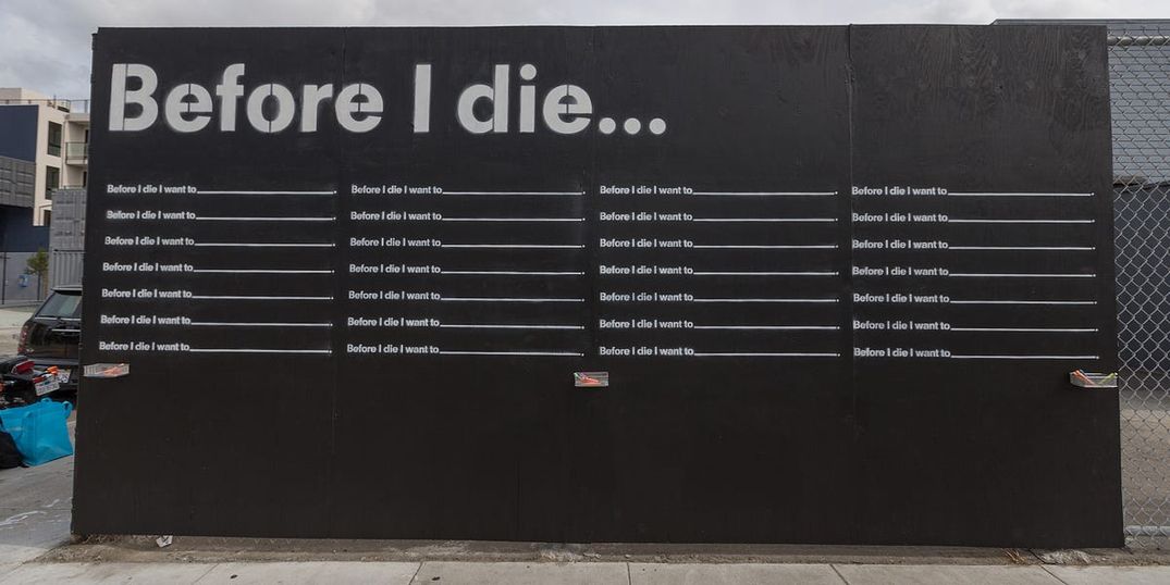 What Do You Want to Do Before You Die?