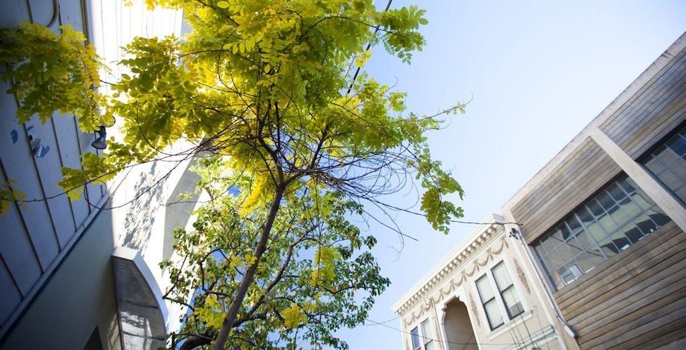 San Francisco Officially Sucks For the Middle Class