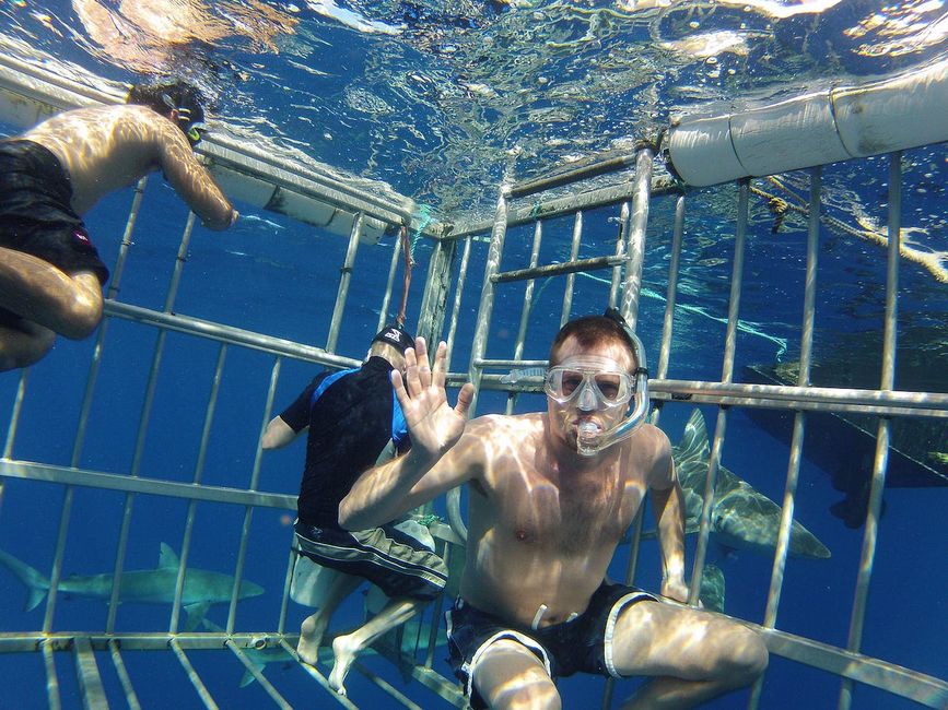The Bay Area’s Sketchiest Bucket-List Activities