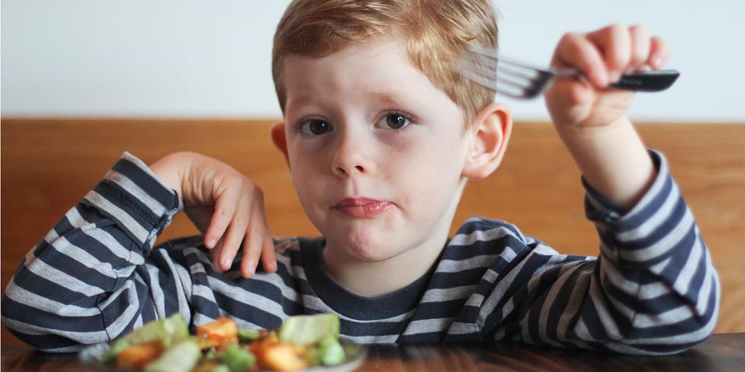 A 4-Year-Old Reviews Animal (with his face)