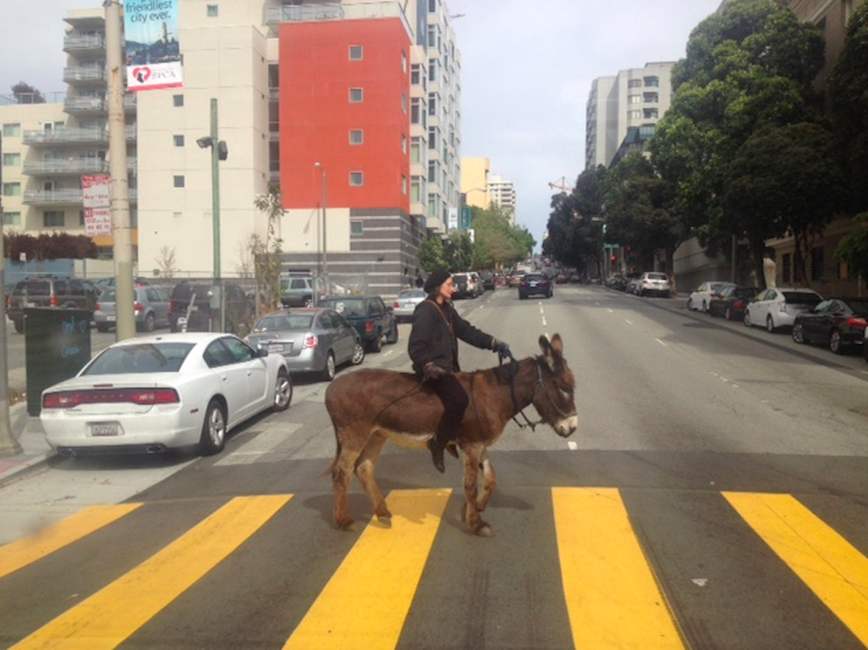 Chill-Ass Donkey in Hayes Valley