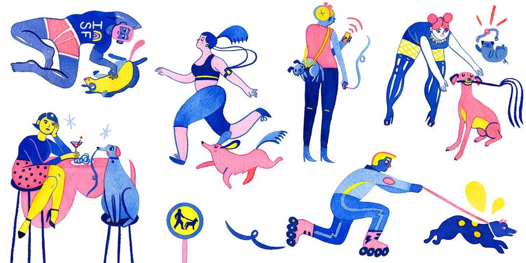 These are the Places to Take Your Dog in SF