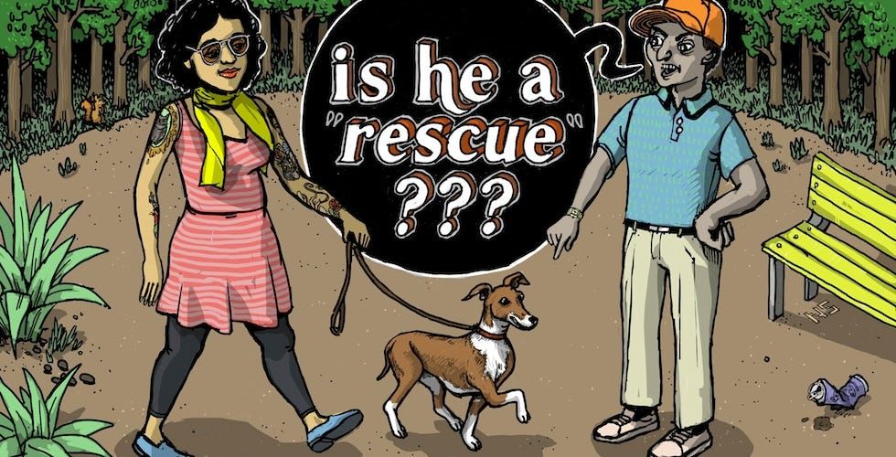 The 7 Kinds of Dog Shaming We See in San Francisco