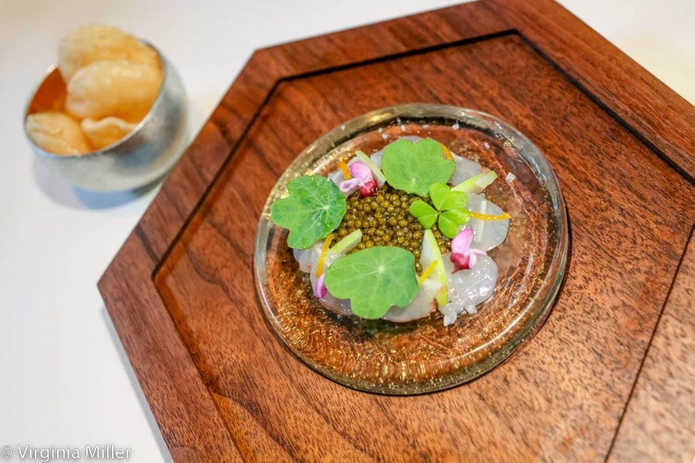 “Aphotic” restaurant review: Wildly sustainable seafood and house-distilled cocktails