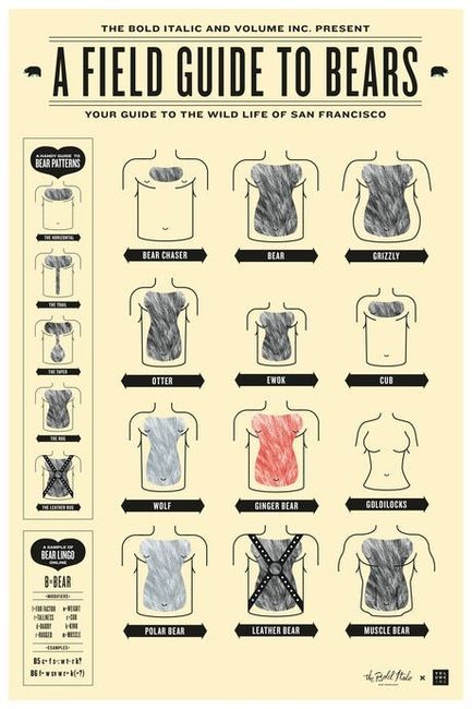 “A Field Guide To Bears” Poster Available Now