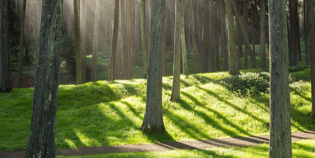 A Guide to San Francisco’s Best Running Trails