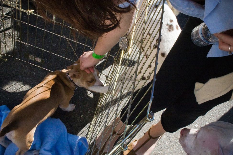 Seven Ways to Make San Francisco a Better Place