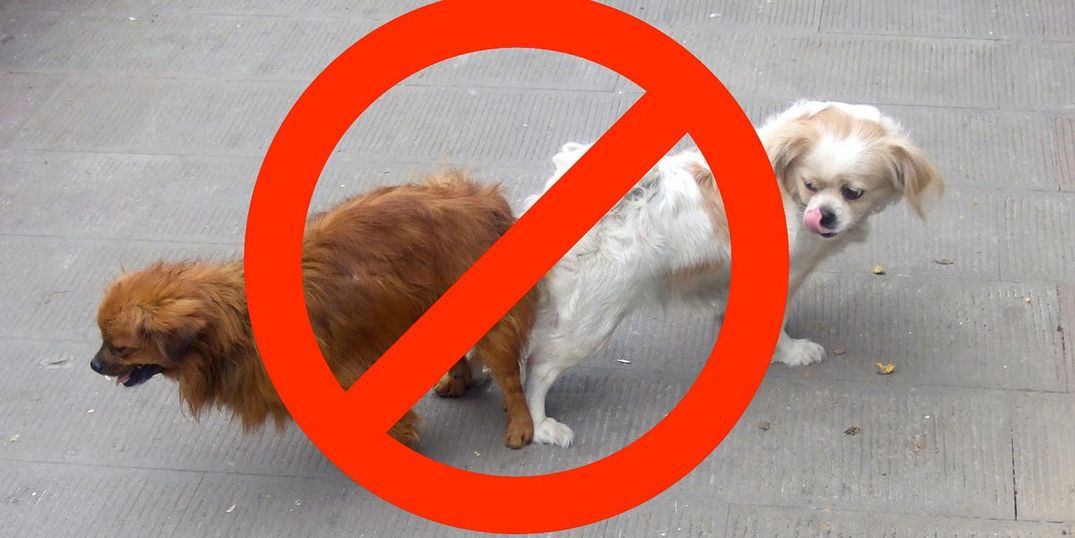 10 Weird LA Laws Still On the Books