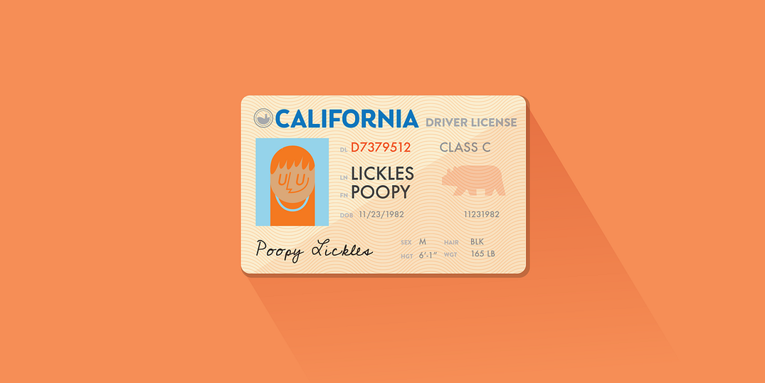 Why I Changed My Name to Poopy Lickles