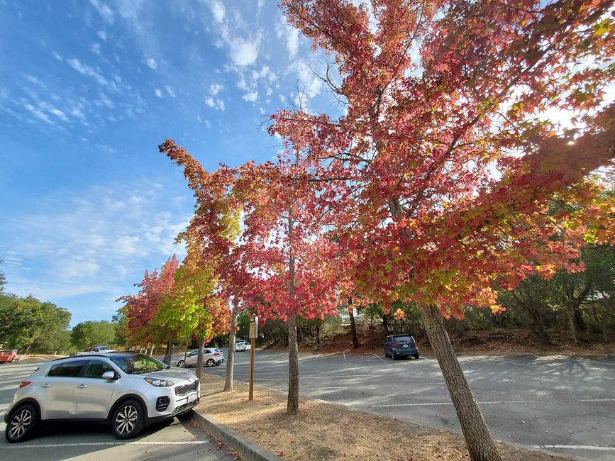 Fall in the Bay Area is Great