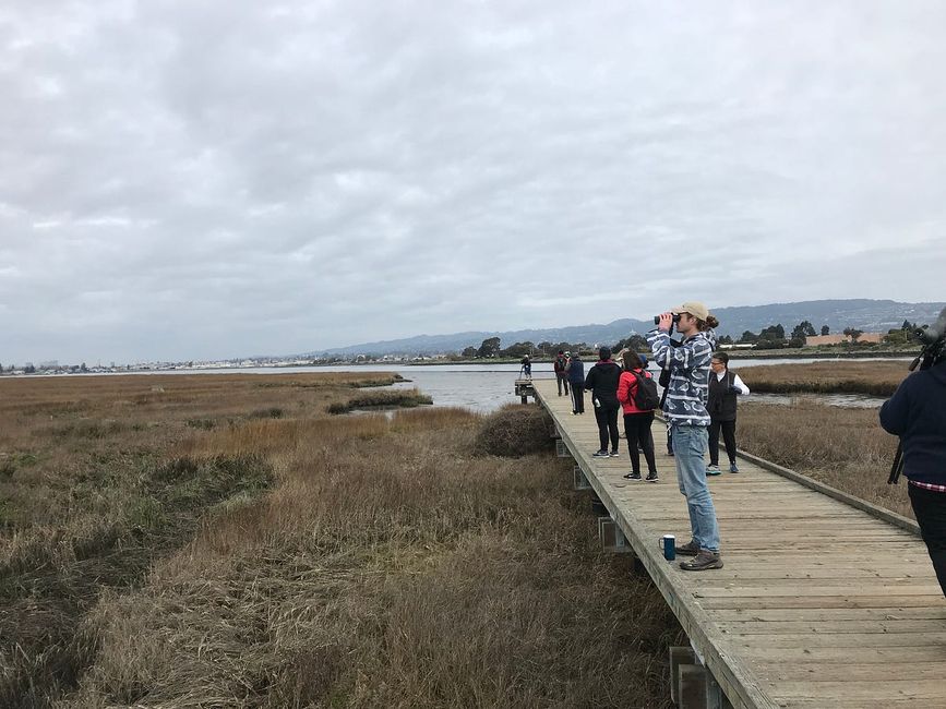 How Birdwatching Helped Ease My Anxiety