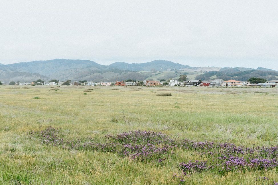 Ocean Calling: Documenting the Laid-Back Beauty of Half Moon Bay, in Photos