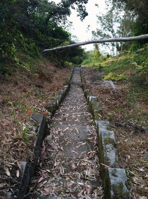 Have the End Times Arrived for Yerba Buena Island?