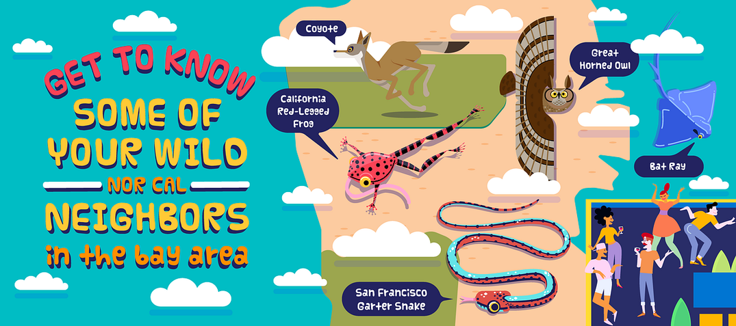 Five Animals That Are More Native to the Bay Area Than You Are