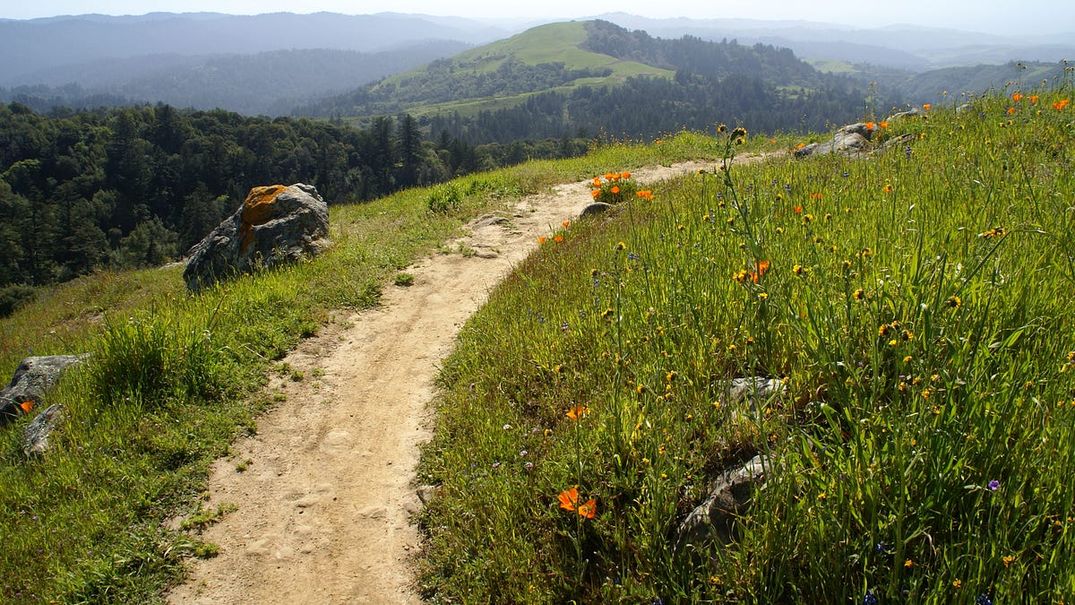 The Most Scenic and Spacious Hikes in the South Bay