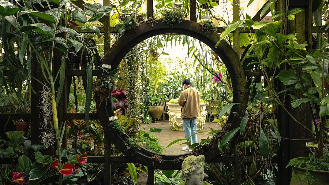 Ways to Take a Mental Health Day in San Francisco