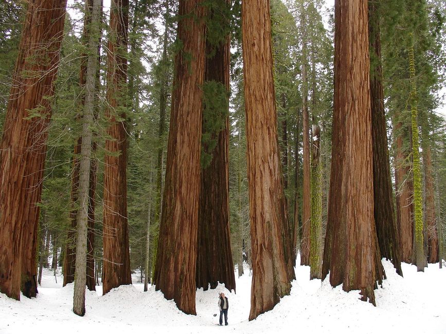 Your Winter Guide to Northern California Vacations