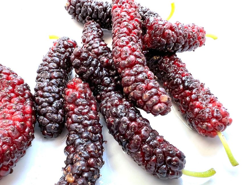 Have You Tried This Bay Area Superfood Yet?