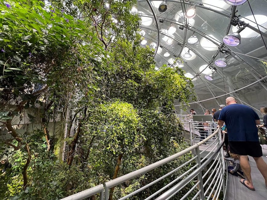 5 Awesome Bay Area Kids’ Activities for a Rainy Day