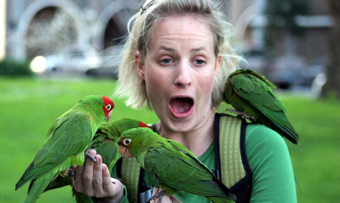 Why you should see this documentary about San Francisco’s newest mascot