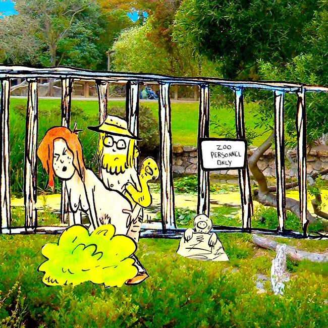 How to Have Sex at the San Francisco Zoo