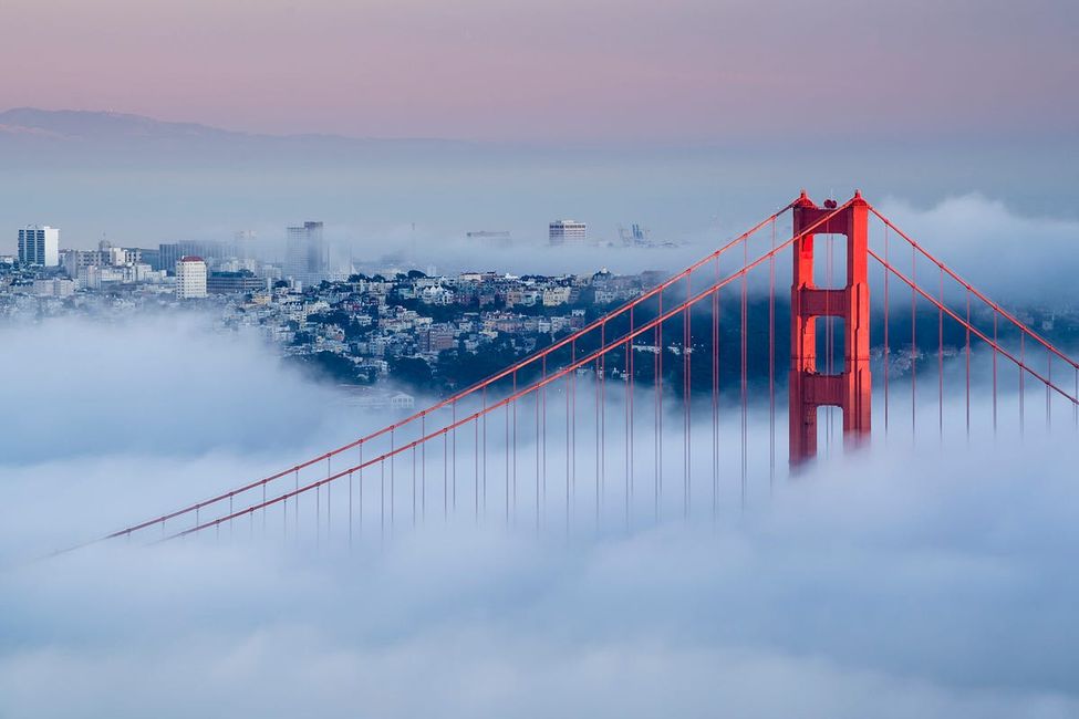 5 Things Every WFH San Franciscan Should Know About