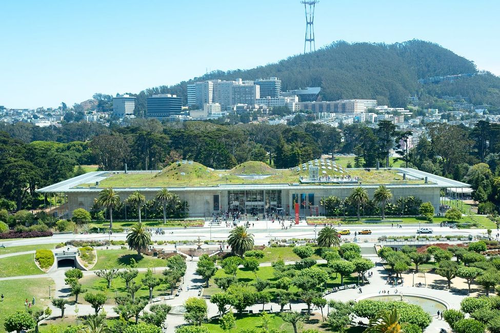 3 Amazing Living Roofs in San Francisco to Visit