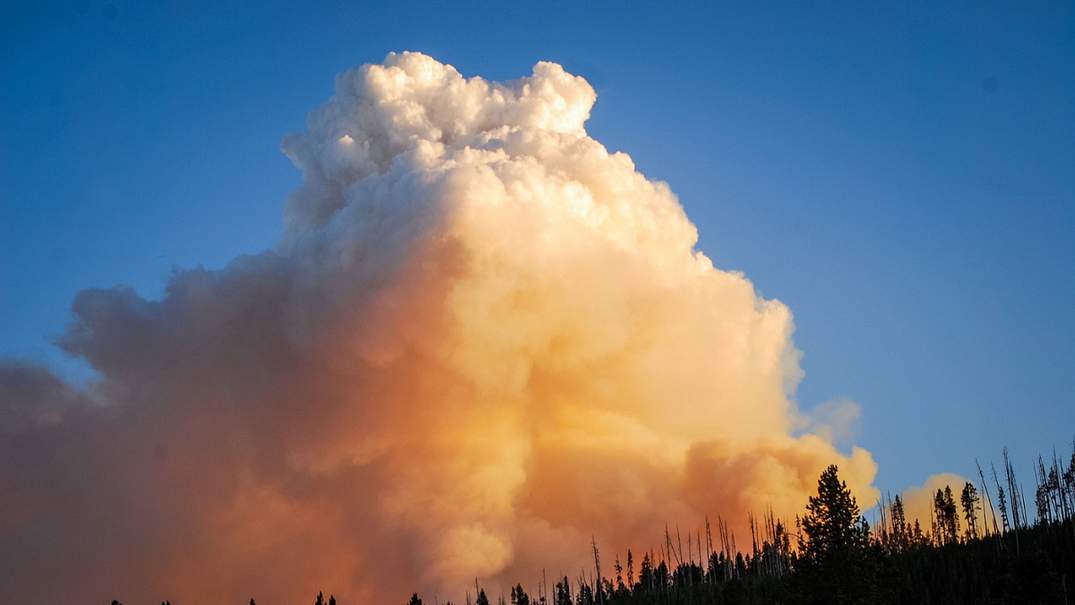 TBI’s 5 Best: Ways to Help Camp Fire Survivors