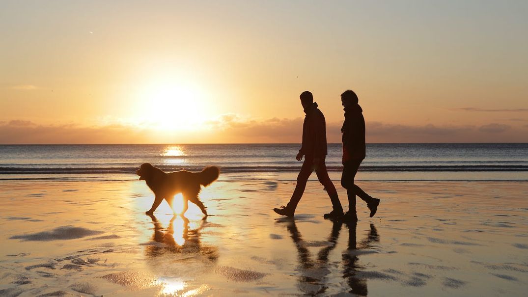 Taking Long Quarantine Walks Brought Me Closer to My Partner