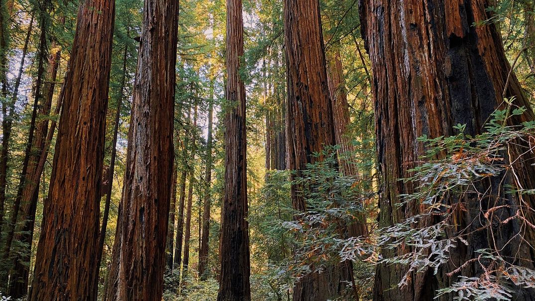 Weeks After We Moved Into Our First Home, We Were Forced to Evacuate