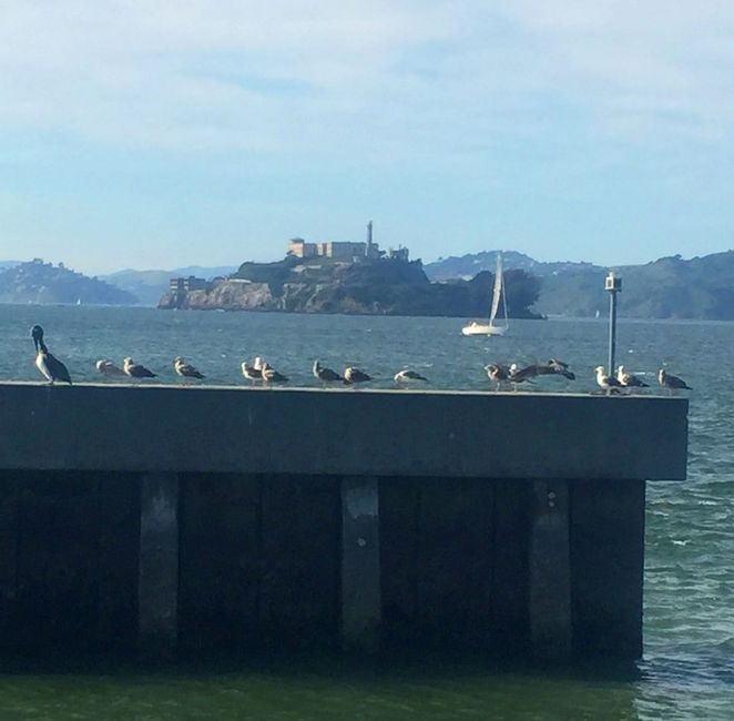 Untrue Urban Legends of San Francisco