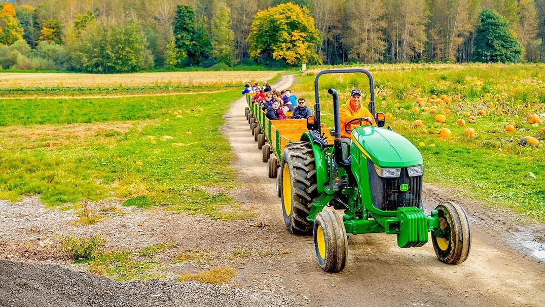 Here Are the Most Wholesome Fall Activities in the Bay