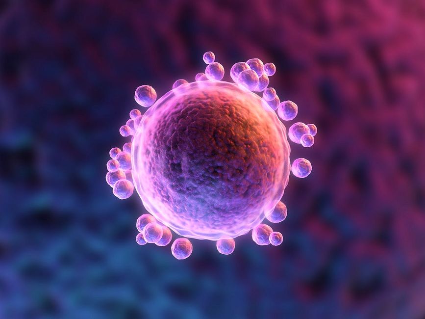 When It Comes to Fertility, Is More Information Really Best?