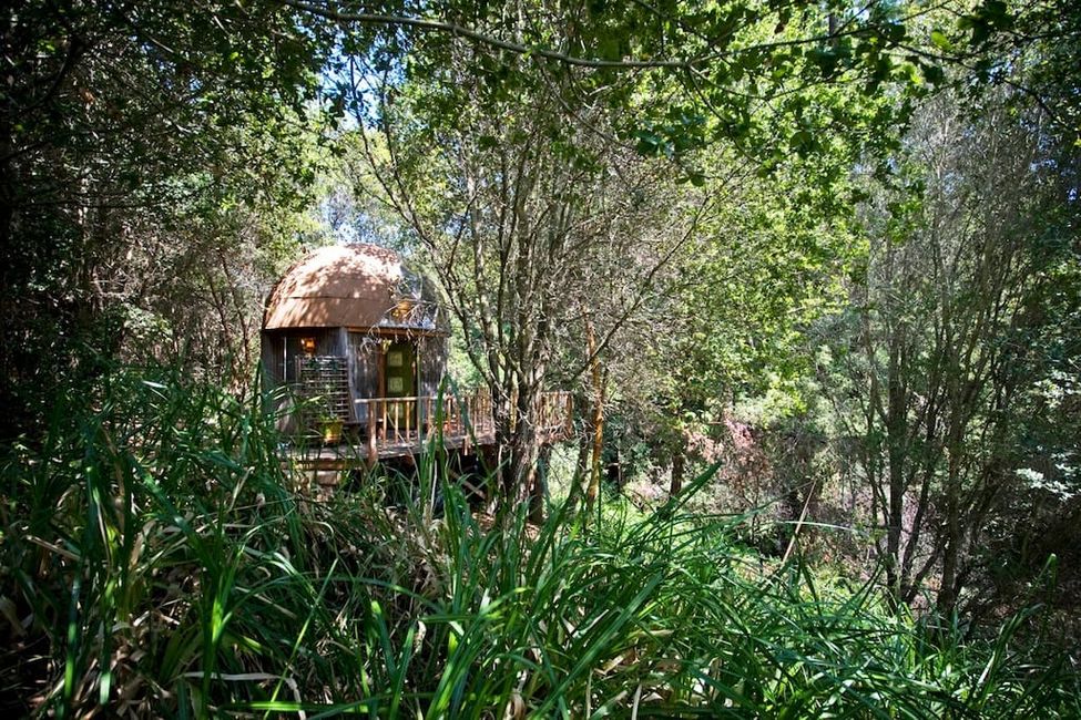 Ten Quintessentially Quirky Airbnbs in California