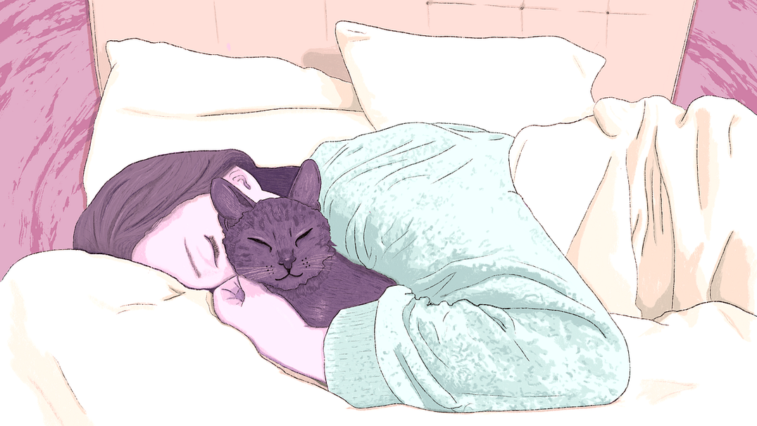 Millennials Can’t Afford Homes or Babies, But They Own All the Pets