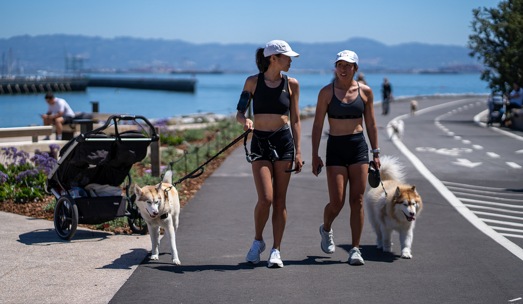 Why I love Mission Bay