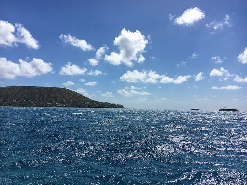 How to Get Scuba Certified in San Francisco