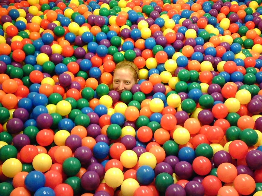 We Asked Techies to Share the Most Frivolous, Absurd Things They’ve Seen at Their Start-ups